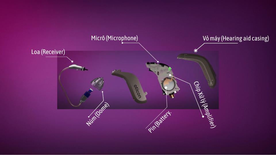 Cấu tạo máy trợ thính